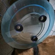 Luminaire suspension Aurora blue Arteluce1982
