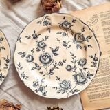 Duo of flat earthenware plates