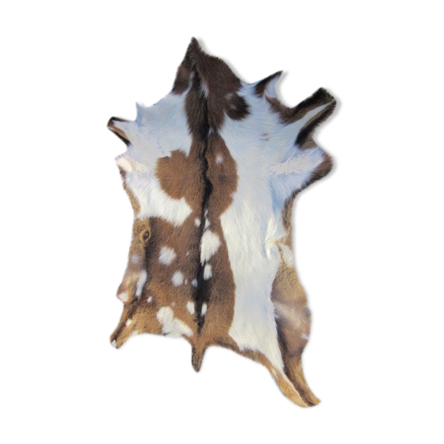 Goat skin