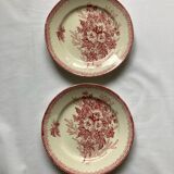 2 Onnaing Terre de Fer plates, Eglantines model, circa 1900