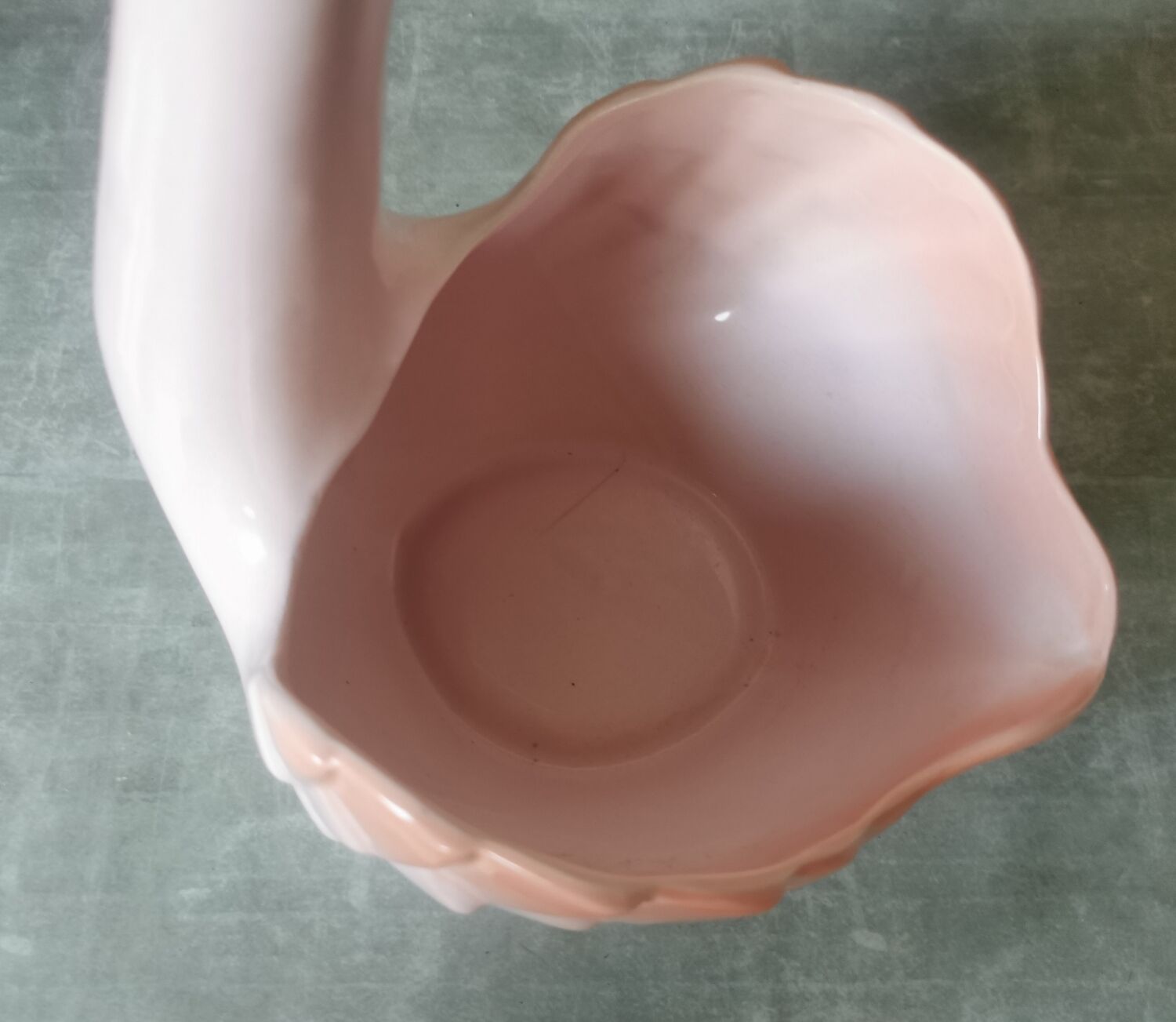 Swan Rigon Roberto Italy