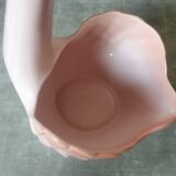 Swan Rigon Roberto Italy