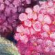 Painting bouquet of flowers