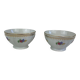 Duo of bowls Porcelaine france Limoges