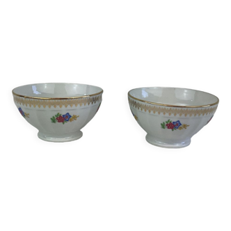 Duo of bowls Porcelaine france Limoges