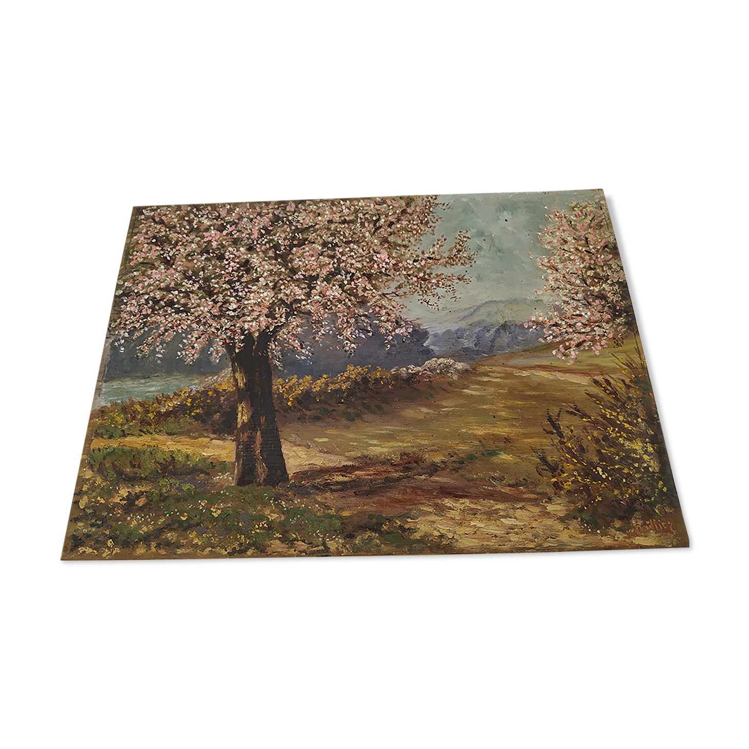Apple trees in blossom oil on panel