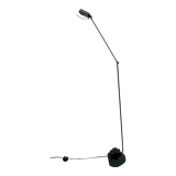 Lumina floor lamp, Daphine Terra Dimmer, Italian design Tommaso Cimini, 1970