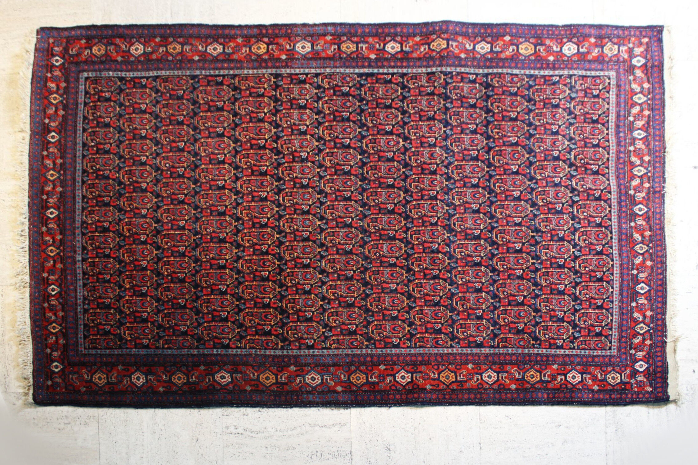 Persian carpet Afshar Iran