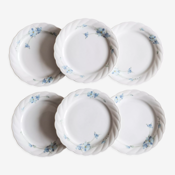 6 assiettes à dessert anciennes en porcelaine de Bavière "bleuets"