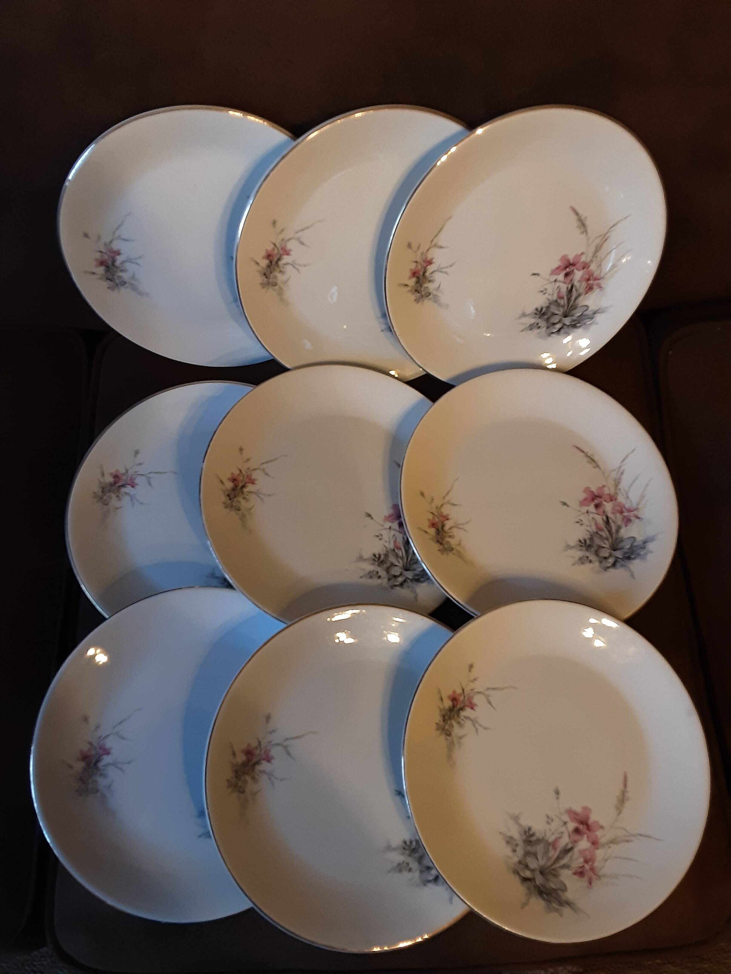 Set of 9 Digoin Sarreguemines dinner plates
