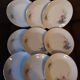 Lot de 9 assiettes  plates  Digoin sarreguemines