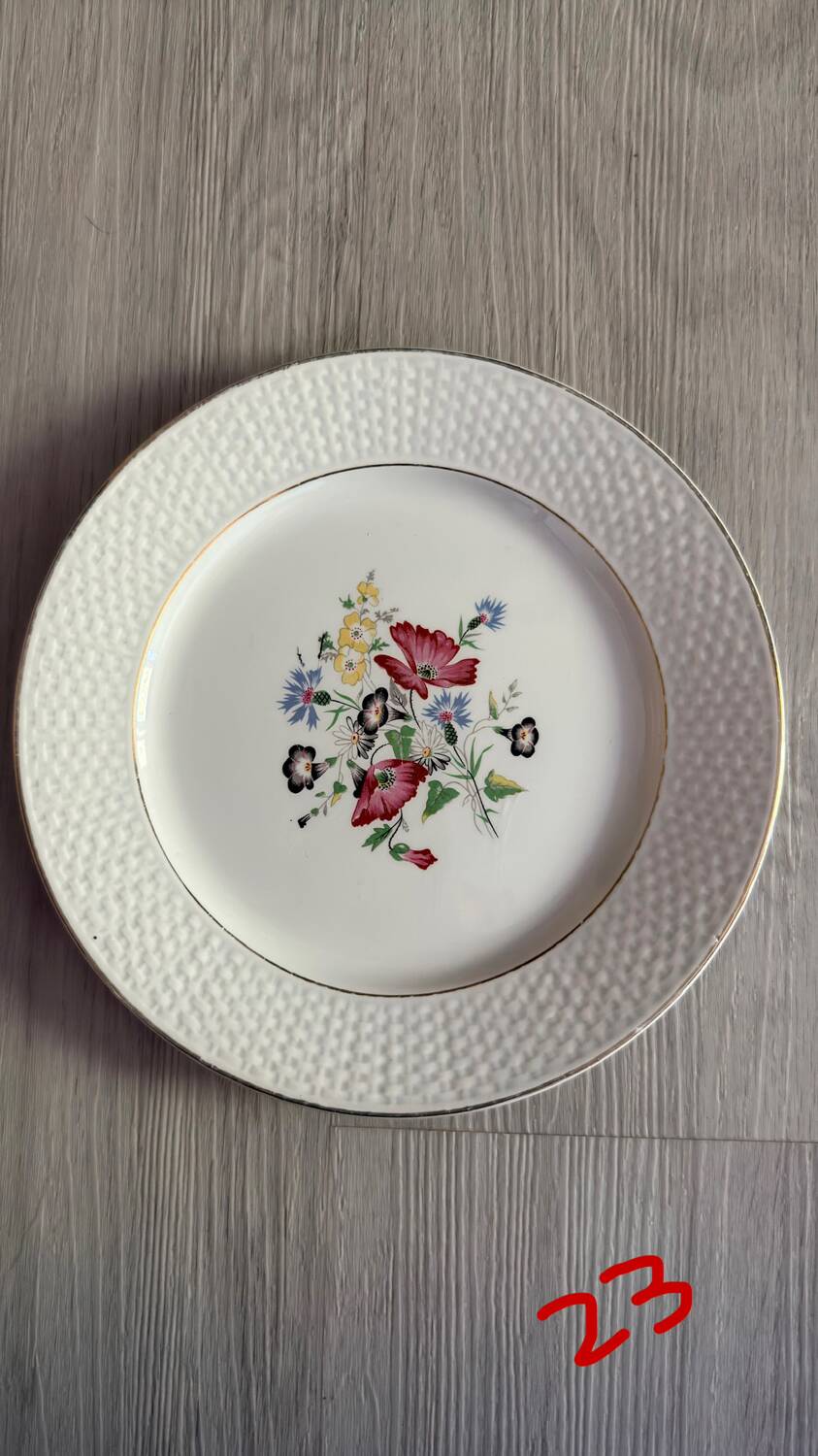 Set of 2 vintage flat plates – "Floralies" model – Digoin & Sarr
