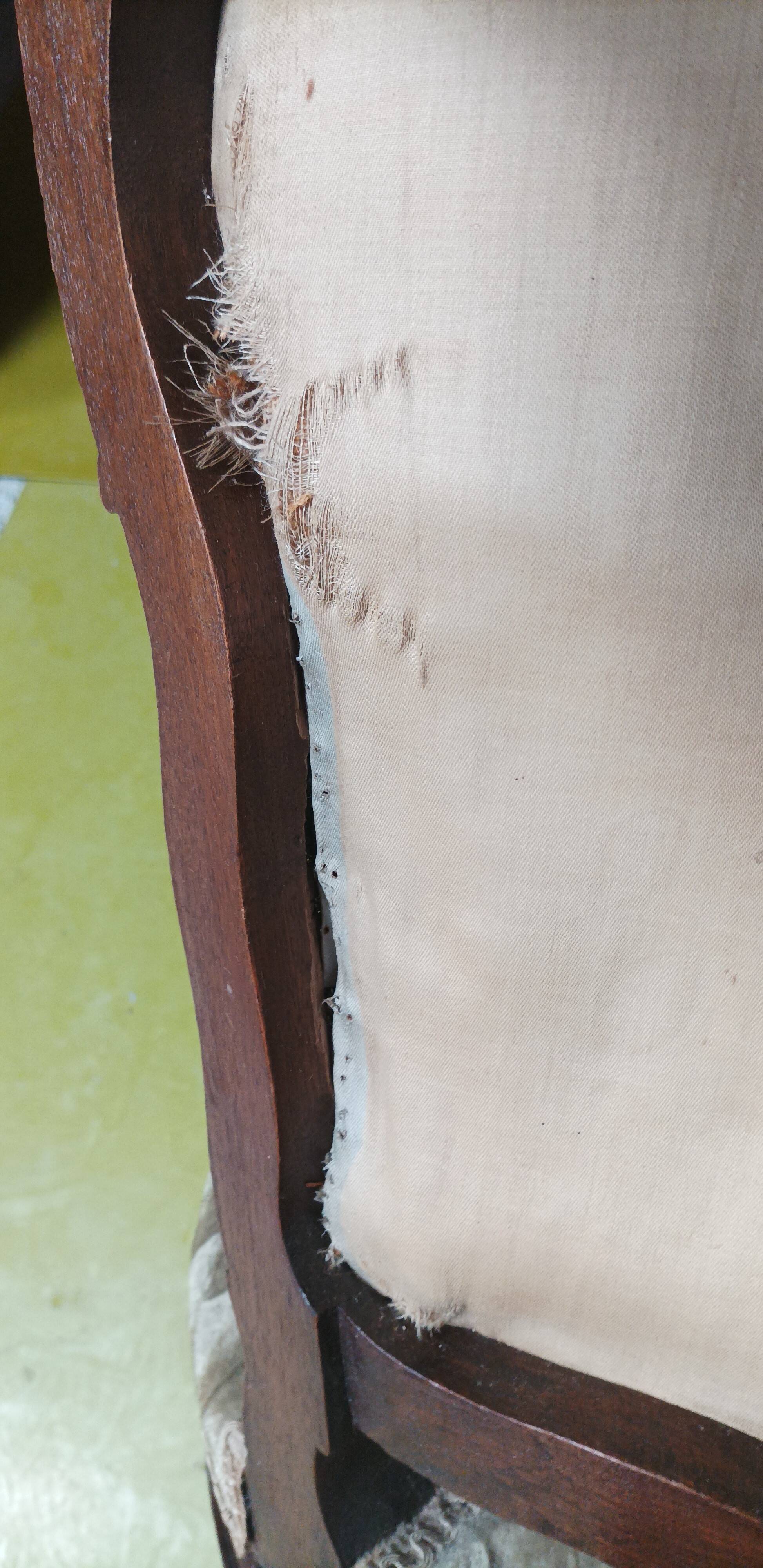 Living room set of Rocaille bench and armchairs in walnut