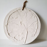 Plaster plant footprint