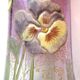 Legras enameled vase, multicolored pansies, colorless gradient purple glass