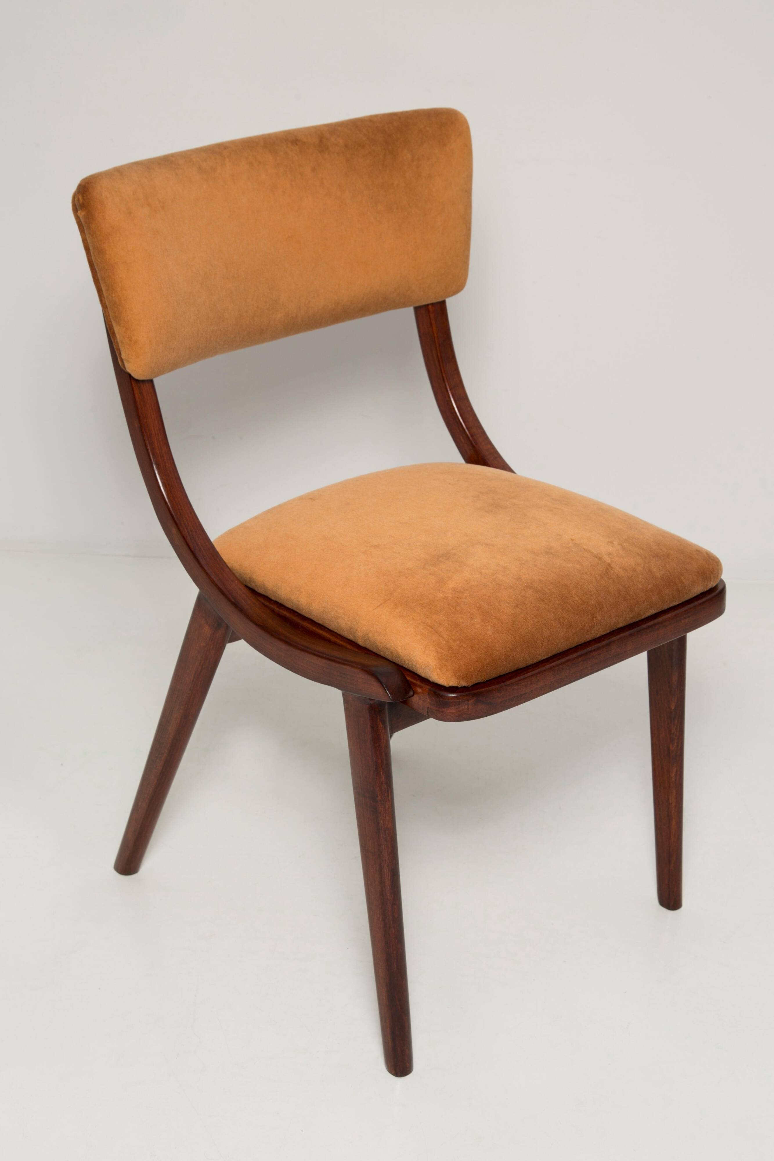 Mid-Century Modern Bumerang Chair, Brown Beige Velvet, Poland, 1960s