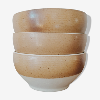 Sandstone bowls of the Scarpe