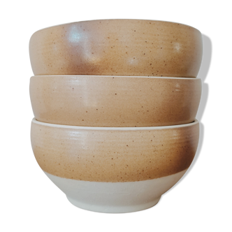 Sandstone bowls of the Scarpe