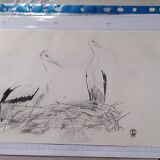 2 storks