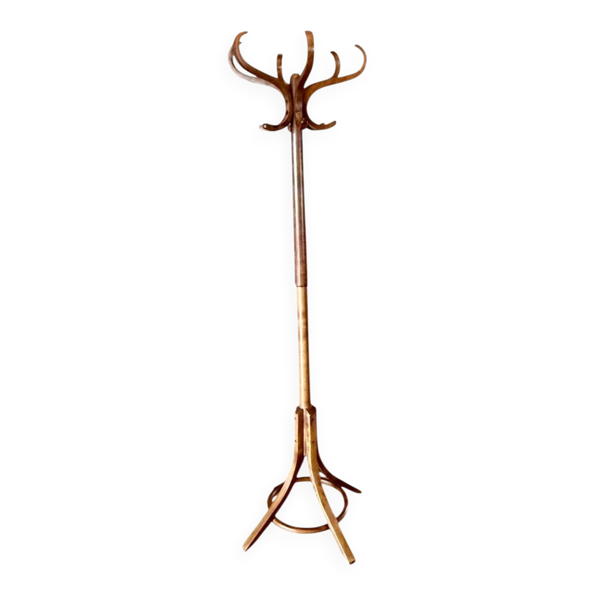 Parrot coat rack on antique turned wood stand
