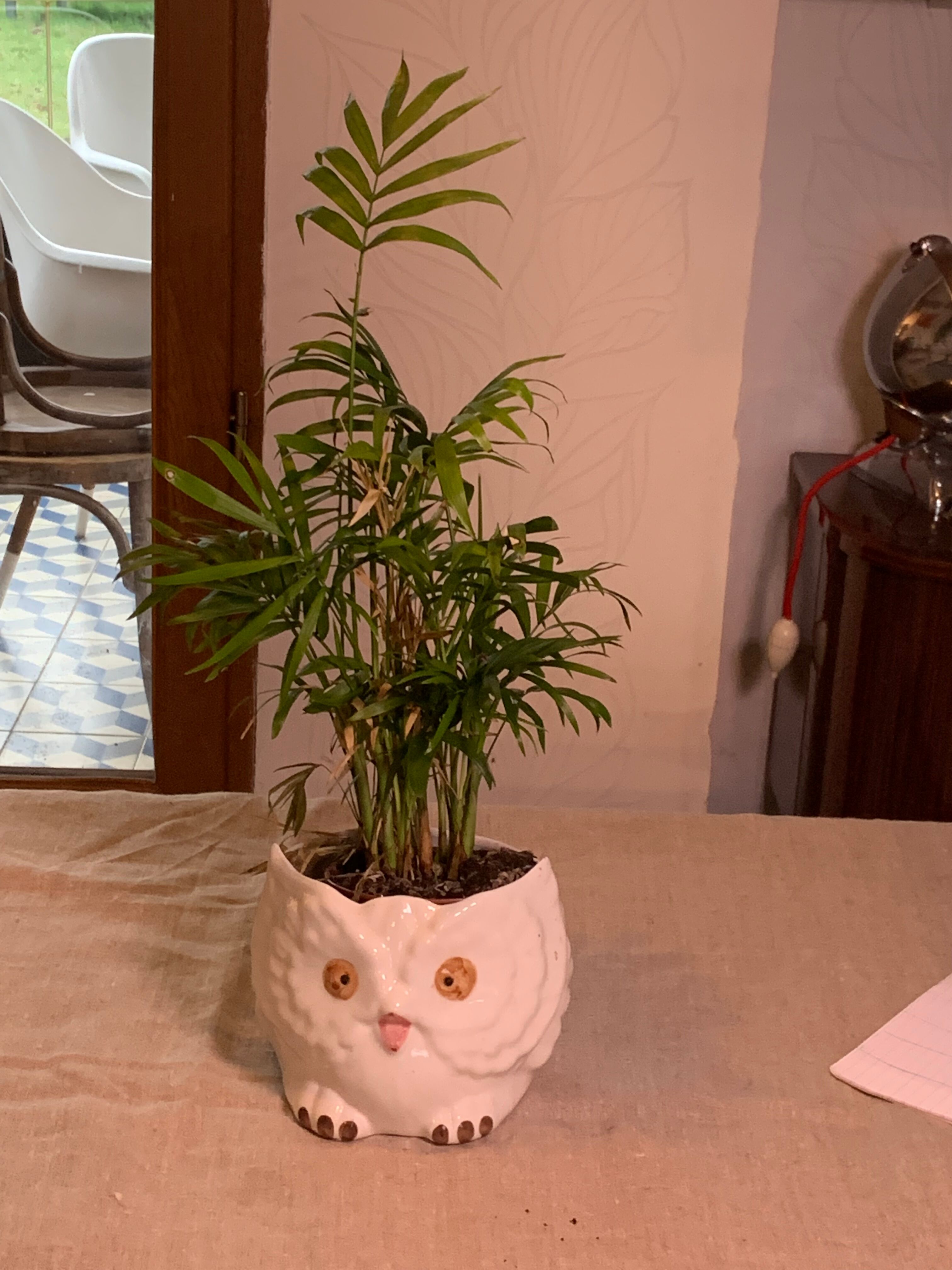 Cache pot owl glazed ceramic white slip earthenware siol Portugal