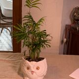 Cache pot owl glazed ceramic white slip earthenware siol Portugal