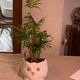 Cache pot owl glazed ceramic white slip earthenware siol Portugal