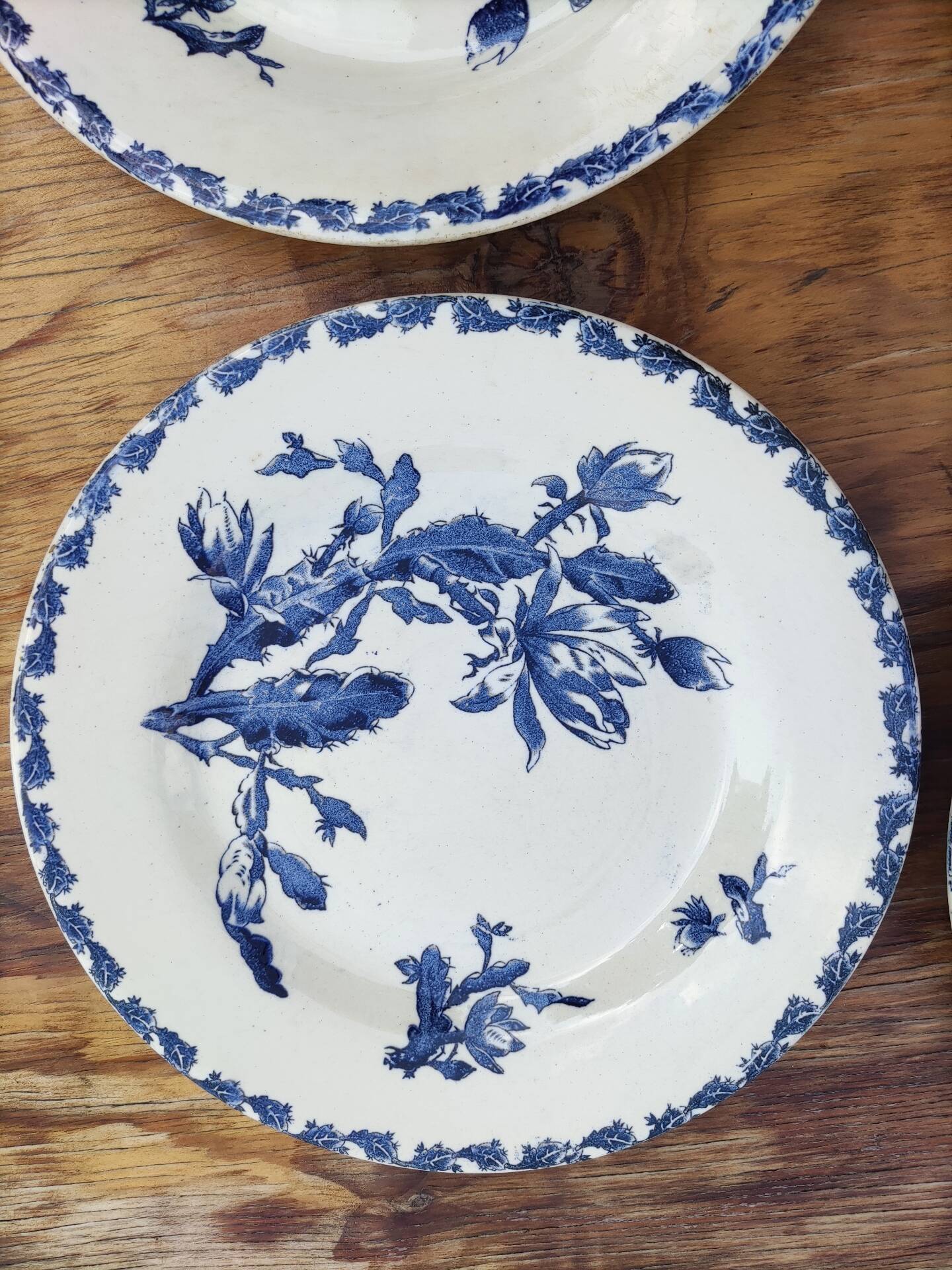 6 flat plates made of Gien earthenware - ironstone - cactus model
