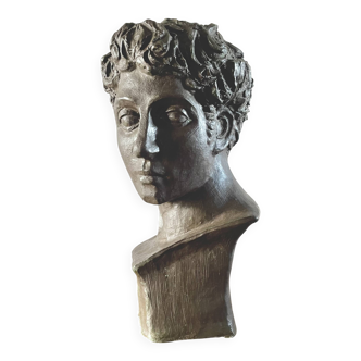 Terracotta bust with a bronze patina of antique inspiration, signed.
