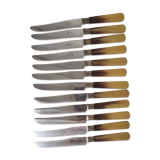 24 Art Deco Bakelite Handle Knives