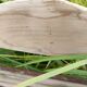Chaise de jardin en latte de bois pliante