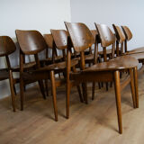 Mid-Century Chairs from Thonet, 1950s, Set of 12