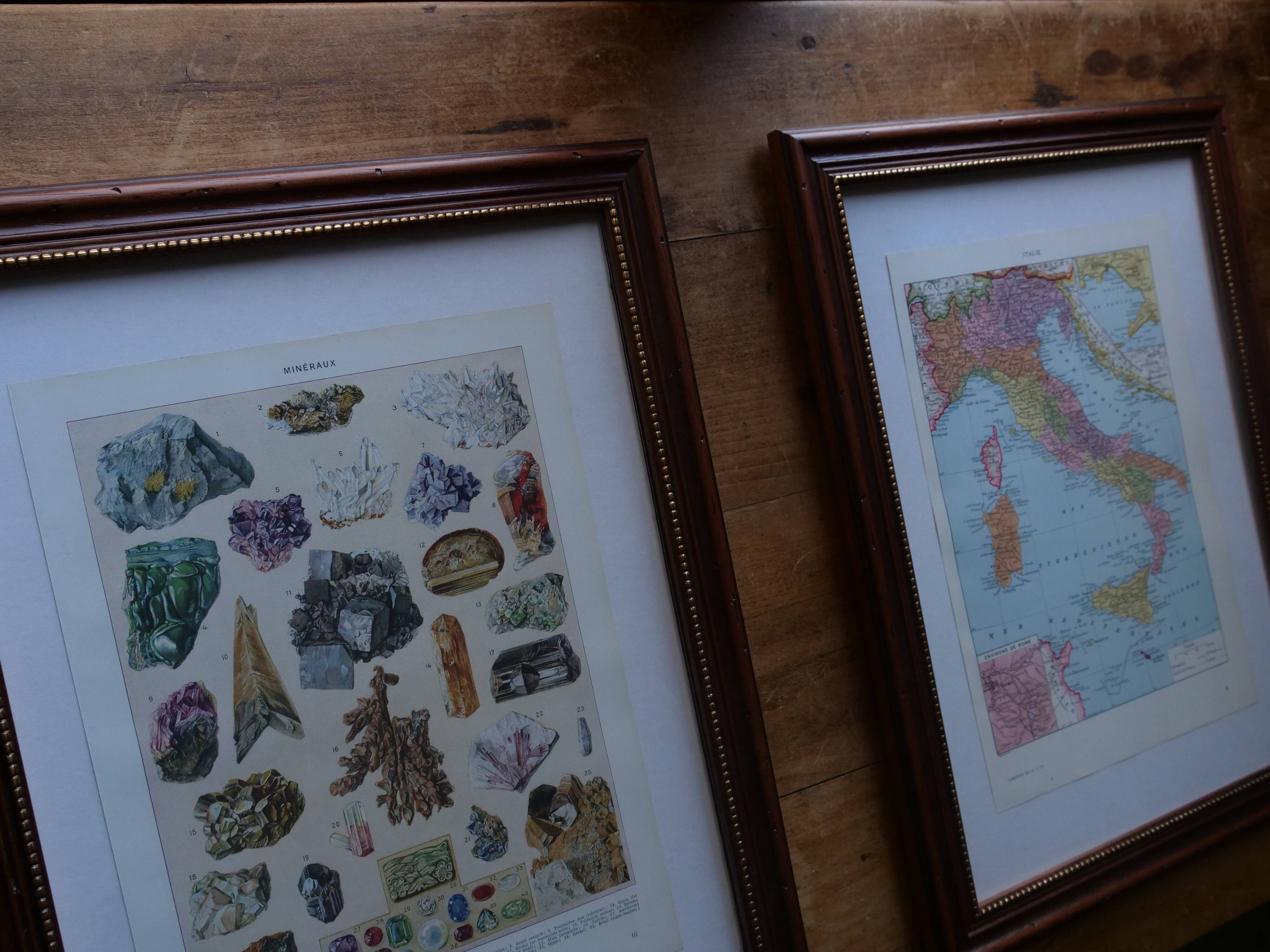 Original lithographs on flowers