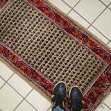 Tapis Vintage Seraband Indien en Laine, Années 1970, Élégance Artisanale