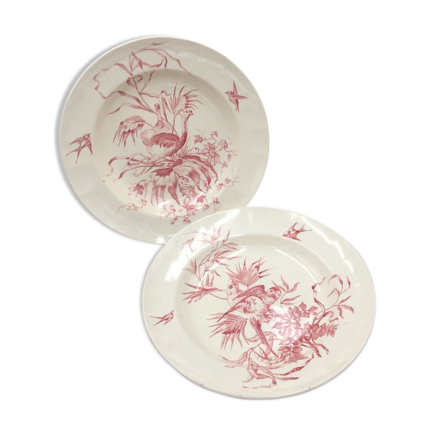 2 ancient hollow plates longchamp congo ostrich parrots