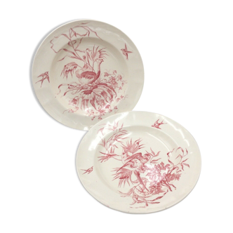 2 ancient hollow plates longchamp congo ostrich parrots