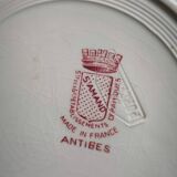 Vintage plate with carnation pattern Antibes half porcelain St Amand France
