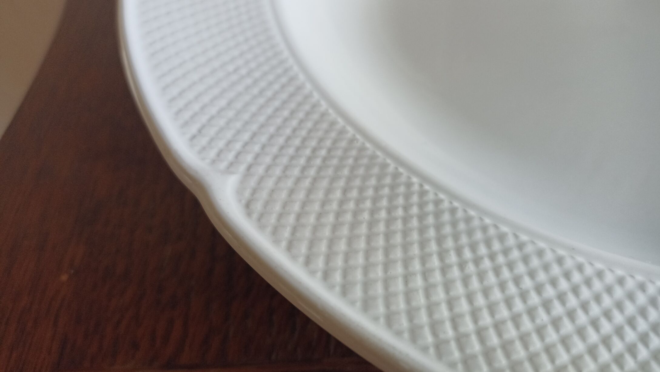 Salins Dish - Chinon Model