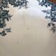 Hollow plates Moulin des loups & Hamage "Marie-louise"