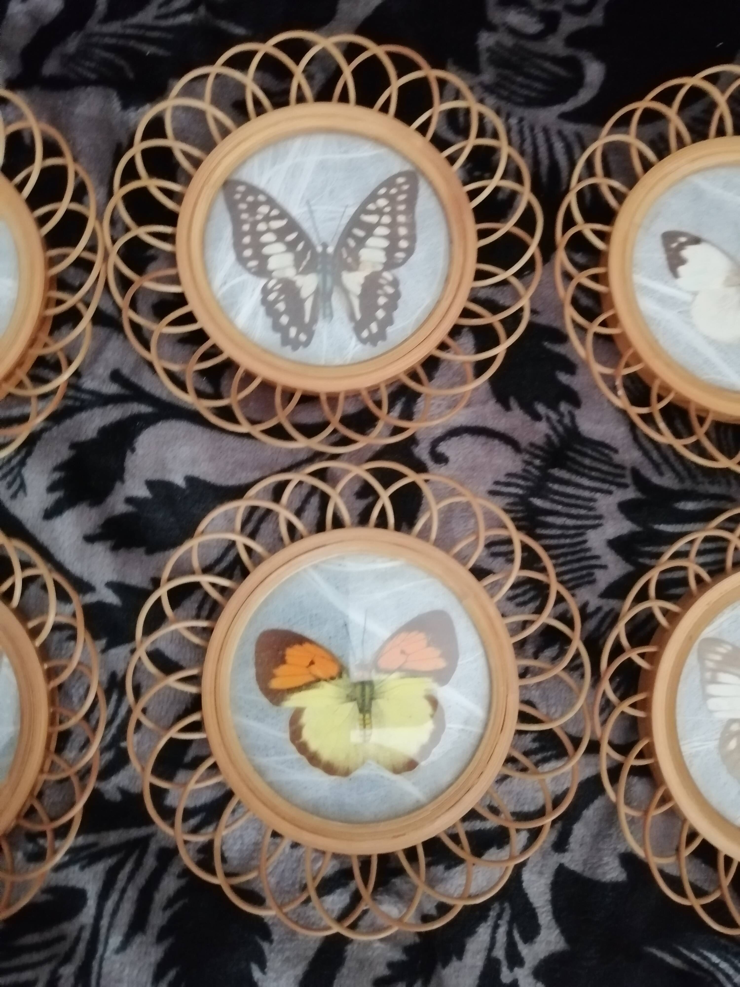 6 coasters in wooden wicker and butterfly background
