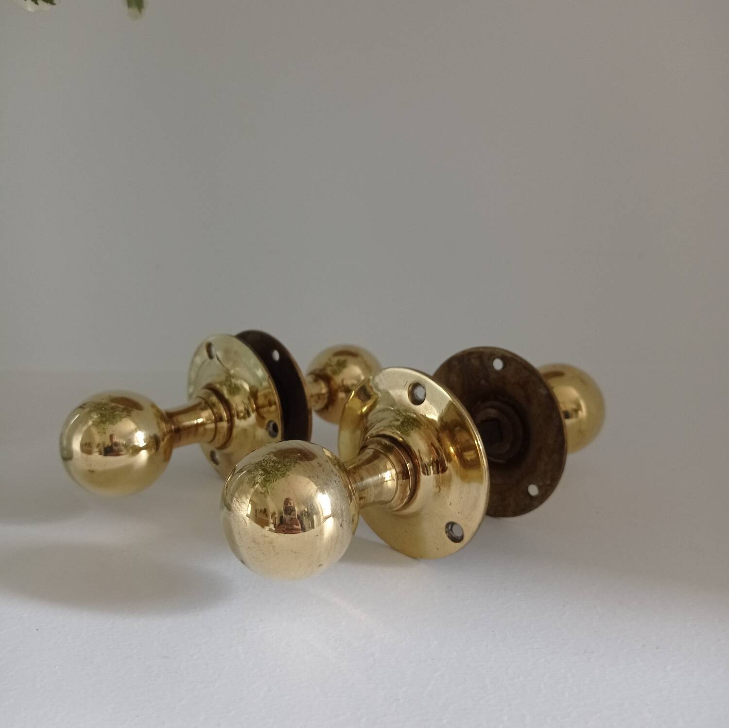 Round brass door handles