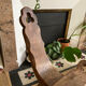 Pair of rustic brutalist tripod wooden chairs farmhouse