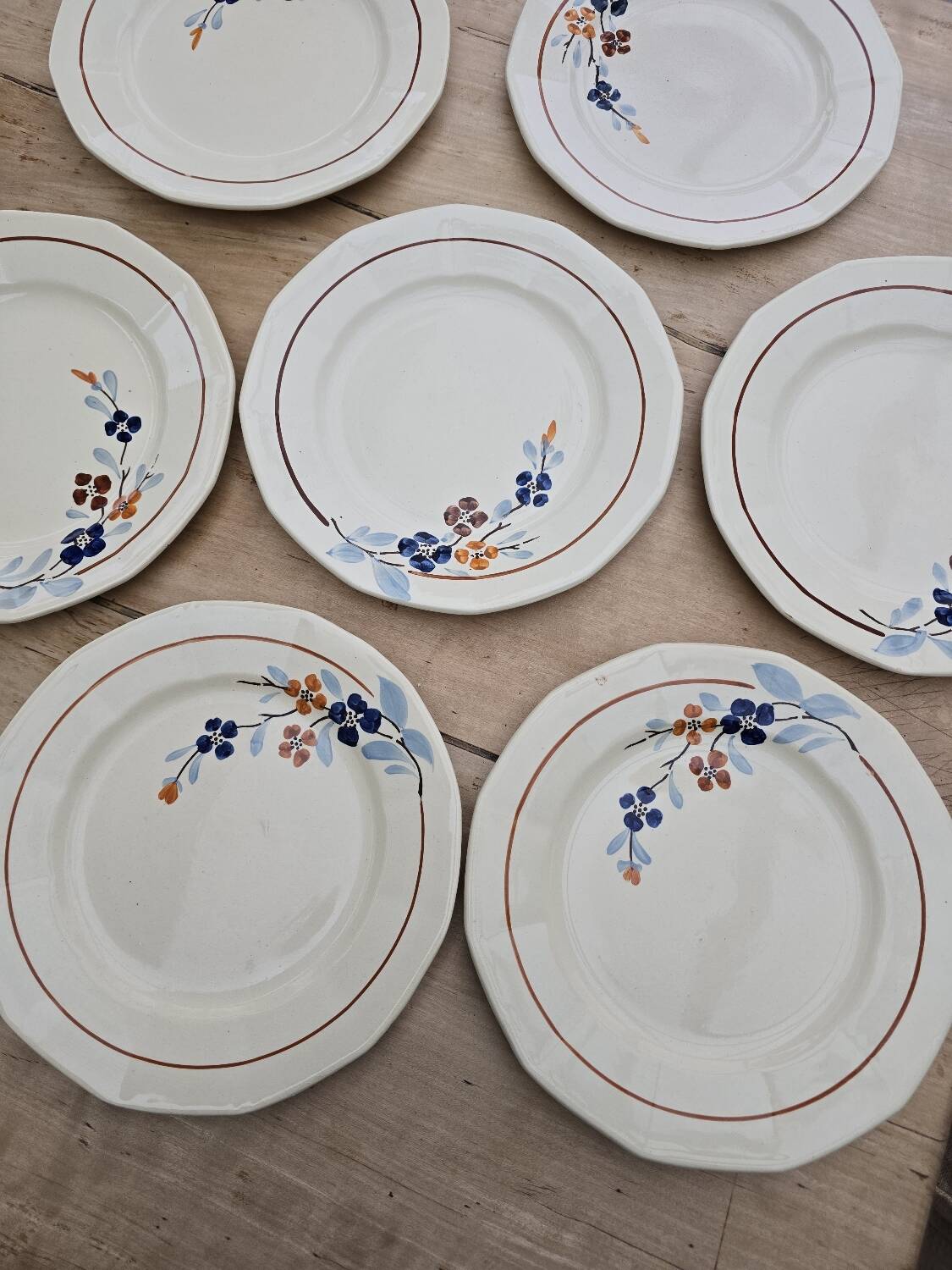 9 Sarreguemines plates model 5041