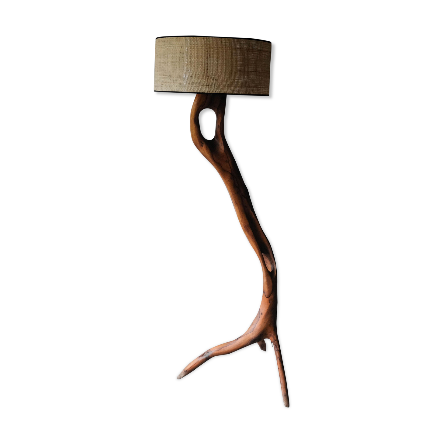 Massive olive tree lamppost - 1960