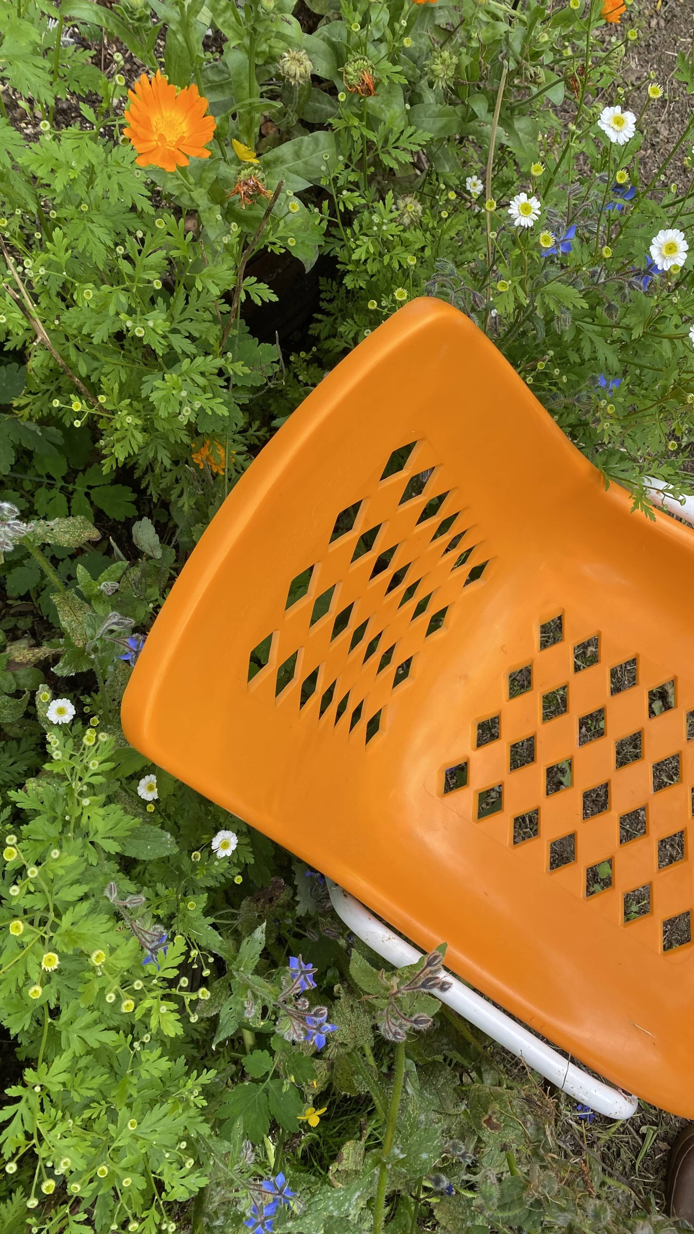 Bar terrace chairs, 70s
