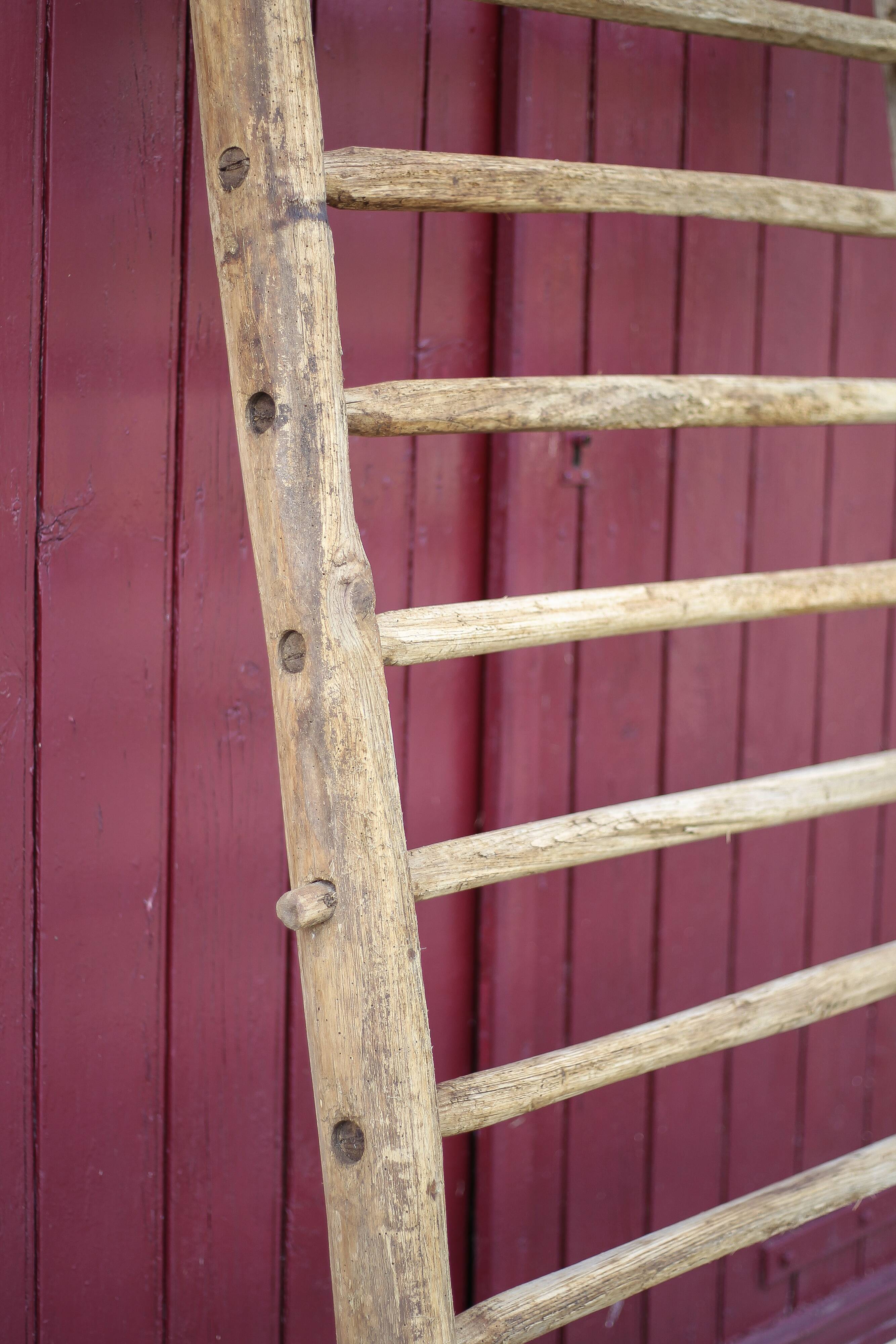 Antique vintage wooden animal fence, wall trellis, plant stand