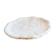 Coral fungia