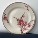 11 dessert plates Saint Amand Terre de Fer, 1930