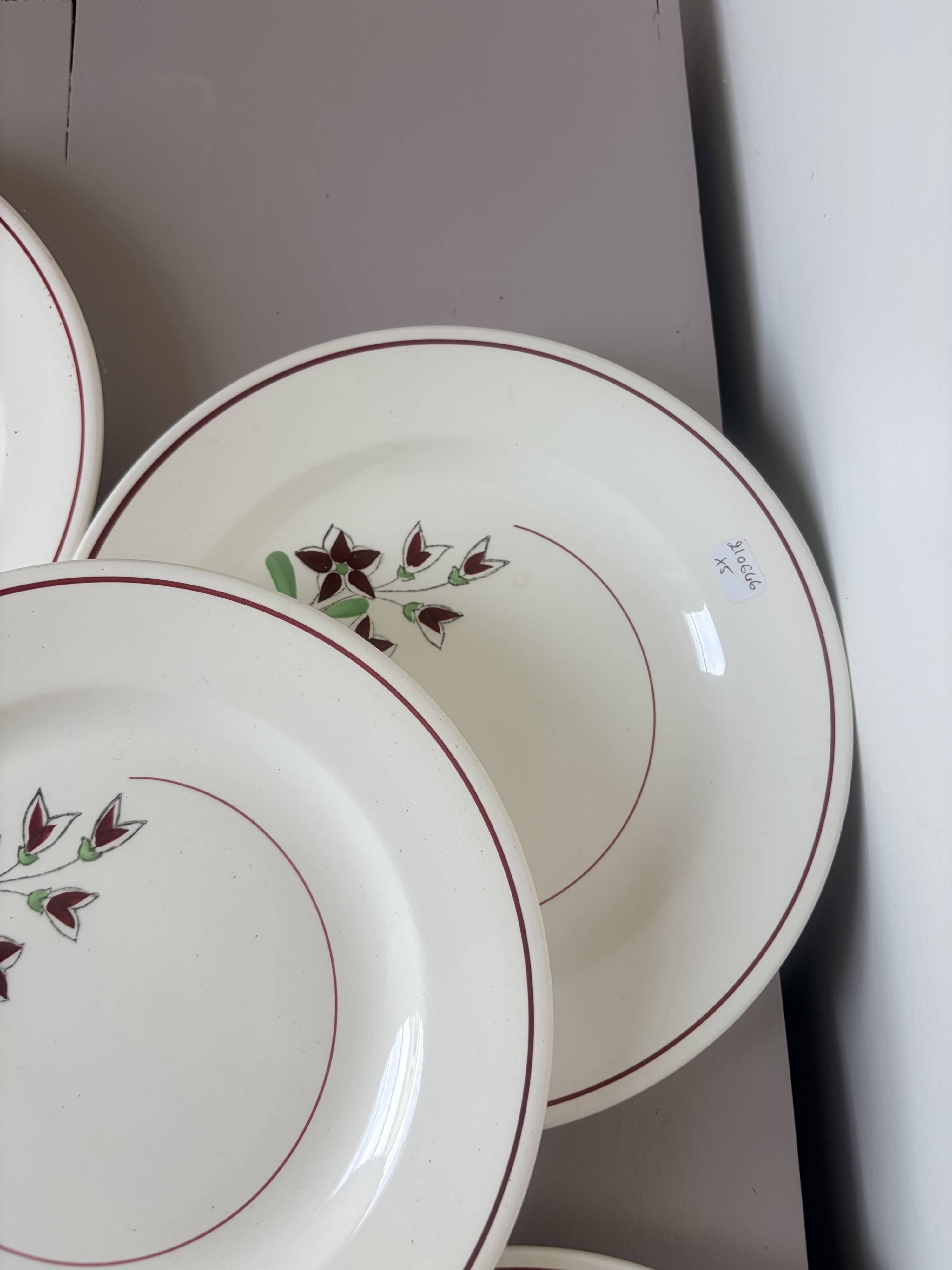 5 flat plates from Salins 210646
