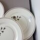 5 flat plates from Salins 210646